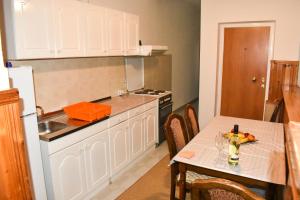 Kuchyň nebo kuchyňský kout v ubytování Guesthouse Elsa