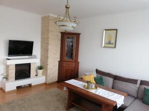 Televízia a/alebo spoločenská miestnosť v ubytovaní Apartament Witkiewicza Sanok