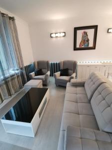 a living room with couches and a tv at Apartament Francuski in Krosno