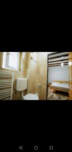 a bathroom with a toilet and a bed in it at Casa Pietrosu Rodnei in Borşa +55 photos