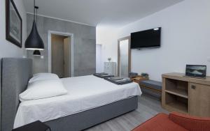 TV a/nebo společenská místnost v ubytování Village property Truša