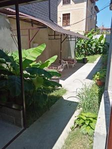 an outdoor patio with plants and a building at Рэдэд in Lazarevskoye