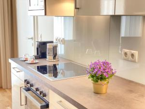 Kuchyňa alebo kuchynka v ubytovaní Steiner Residences Vienna Nestroyplatz