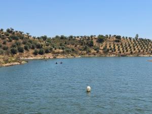 two people are kayaking in a large lake at Herdade Monte da Tapada in Alqueva