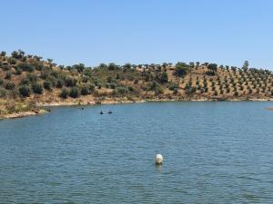 dos personas están haciendo kayak en un gran lago en Herdade Monte da Tapada, en Alqueva