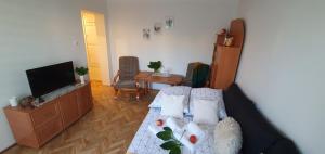 een woonkamer met 2 bedden en een flatscreen-tv bij Apartament Park Saski II in Sandomierz