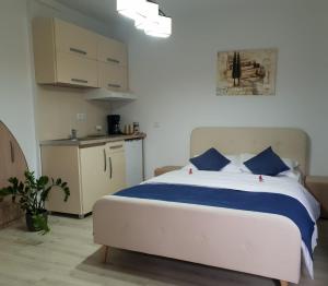 Ένα ή περισσότερα κρεβάτια σε δωμάτιο στο Studio Piata Mare apartments