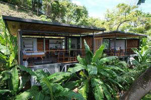 a house in the middle of a forest at The Green House, Santa Teresa - Adults Only in Santa Teresa Beach