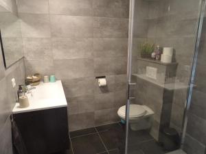 a bathroom with a shower and a toilet and a sink at B&B Het Onderduukertje in Wemeldinge