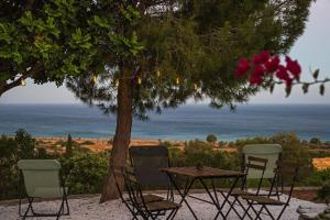 a table and chairs under a tree with the ocean at Villa Venus in Avlemonas
