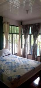 Schlafzimmer mit einem Bett mit Vorhängen und Fenstern in der Unterkunft Valles of Osa in Palmar Sur