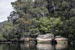 a body of water with trees and rocks at Calabash Bay Lodge in Berowra