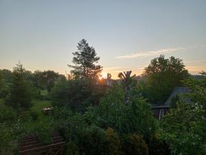 a sunset over a garden with trees and bushes at Agroturystyka Janiczek Tuchów in Dąbrówka Tuchowska