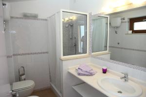 uma casa de banho com um lavatório, um WC e um espelho. em Agriturismo al Varco d'oro em Giuliano di Roma