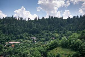 Táj Show holiday homes közelében