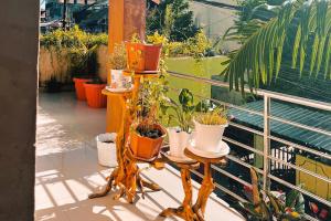 a balcony with potted plants sitting on a table at Almira Homestay Ambon Mitra RedDoorz in Ambon +9 photos
