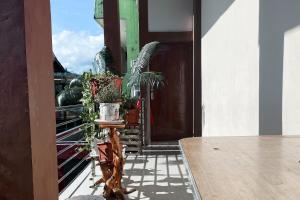 Almira Homestay Ambon Mitra RedDoorz في امبون: شرفة مع نباتات الفخار على المبنى