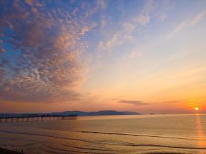 Příroda nedaleko bed and breakfast + 56 fotografií