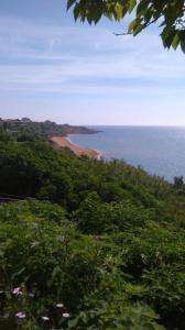 a view of the ocean from a hill with trees at Appartamento Le Cannella in Ovile la Marina