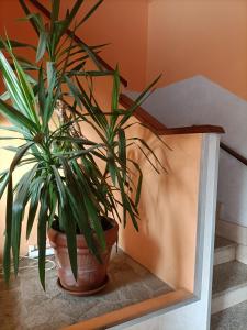 Fotografie z fotogalerie ubytování Albergo Roma v destinaci Gattico
