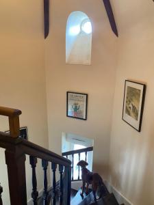 Fotografie z fotogalerie ubytování Villa Tourelle v destinaci Dinan