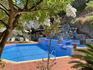 スタロスにあるVilla Clio with Pool Stalos Creteの青い壁と木が特徴のスイミングプール