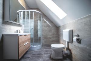 a bathroom with a toilet and a shower and a sink at Pataky Apartmanok in Veszprém