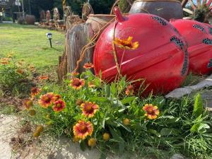 Ein Garten an der Unterkunft 澎湖日記 PenghuDiary