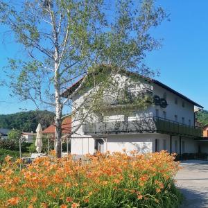 a white building with a tree and orange flowers at Apartments & rooms Saša in Podčetrtek