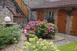 um jardim com flores em frente a um edifício em Ferienwohnung Lychen UCK 1021 em Lychen