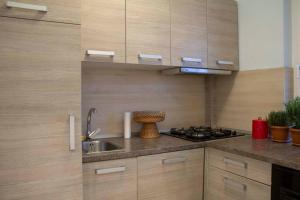 cocina con fregadero y fogones en Beautiful air-conditioned apartment in the centre, en Debrecen