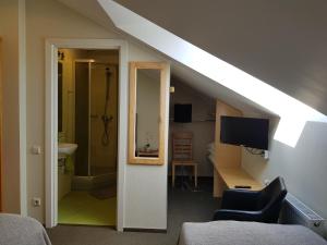TV a/nebo společenská místnost v ubytování Spa Hotel Ezeri
