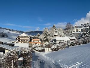 Zdjęcie z galerii obiektu Haus am Sonnenberg,Todtnauberg, Ferienwohnung 002, direkt am Skilift-Skipiste, Nähe Feldberg w mieście Todtnauberg