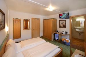 TV a/nebo společenská místnost v ubytování Hotel Eder Michaela