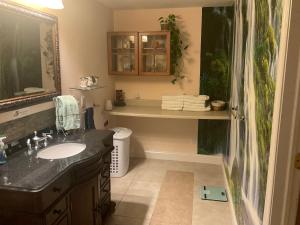 a bathroom with a sink and a shower at Whispering Oak Mansion in Bear +35 photos