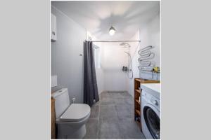 a bathroom with a toilet and a washing machine at Guest house Lilac in apple tree park in Nākotne