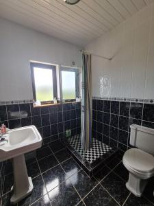 a bathroom with a sink and a toilet and a shower at Oak Tree Lane Country B and B in Bridgetown