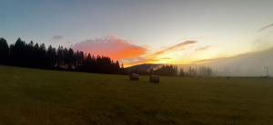 a sunset in a field with hay bales at Penzion U Dračí skaly in Svojše