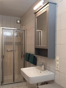 ห้องน้ำของ Ferienwohnung sauerland-ruhe
