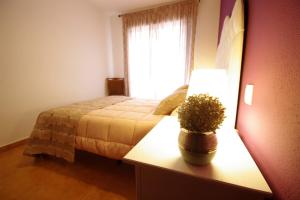 A bed or beds in a room at Livingtarifa La Rosa Blanca