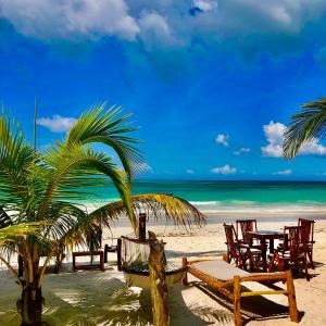 una playa con sillas y una mesa y el océano en Simba Beach Zanzibar, en Kiwengwa