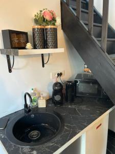 eine Küche mit einem Waschbecken und einem Regal mit Blumen in der Unterkunft Villa avec maxi Jacuzzi aux Portes de Paris in Arcueil