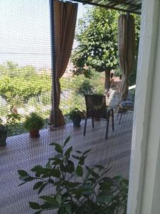 Zahrada ubytování Apartment Giorgi in Sighnaghi