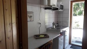 eine kleine Küche mit einer Spüle und einer Arbeitsplatte in der Unterkunft Studio Le Plan Clou in Arbaz