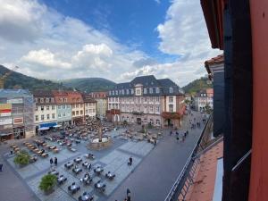 Gallery image of Boardinghouse Goethehaus in Heidelberg