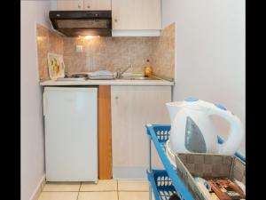Kuchyň nebo kuchyňský kout v ubytování Villa Rania