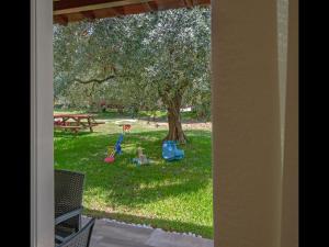Zahrada ubytování Villa Rania