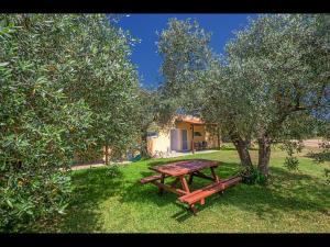 Zahrada ubytování Villa Rania
