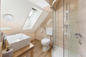 a bathroom with a toilet and a sink and a shower at Apartmaji Rupnik in Bohinjska Bistrica