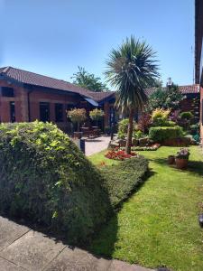 einen Garten mit Büschen, einer Palme und einem Gebäude in der Unterkunft Redwings Lodge Dunstable in Dunstable